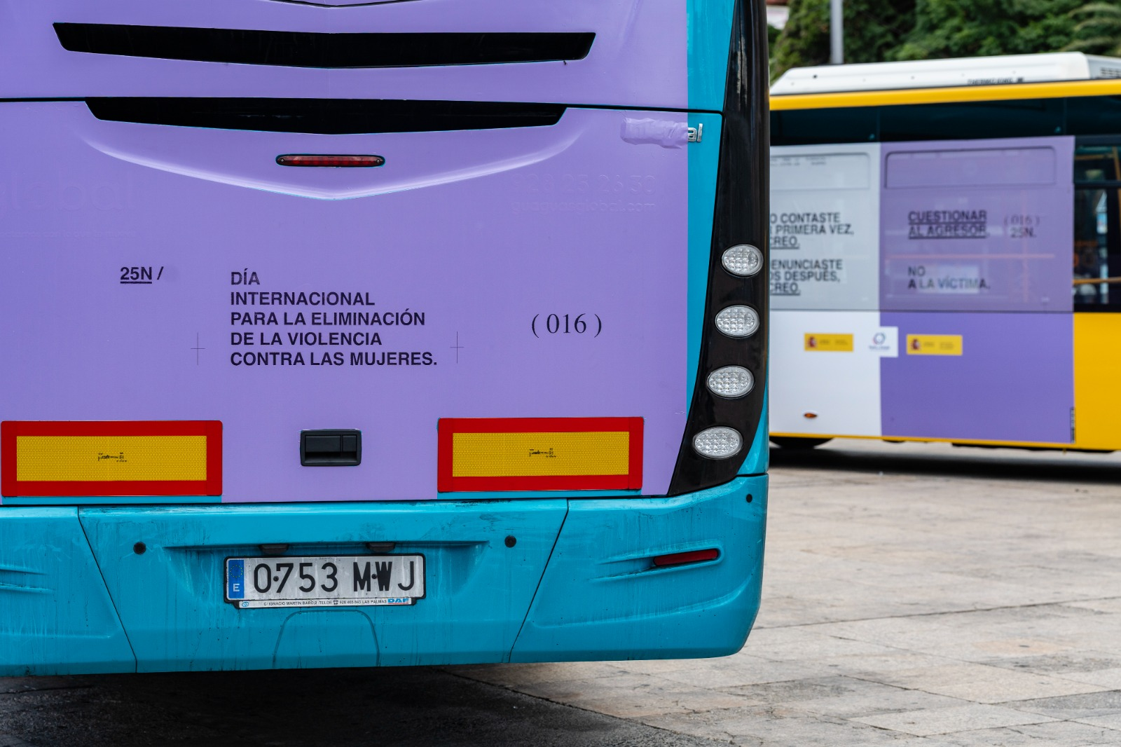 Foto en detalle de dos guaguas de la campaña